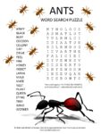 ants word search puzzle