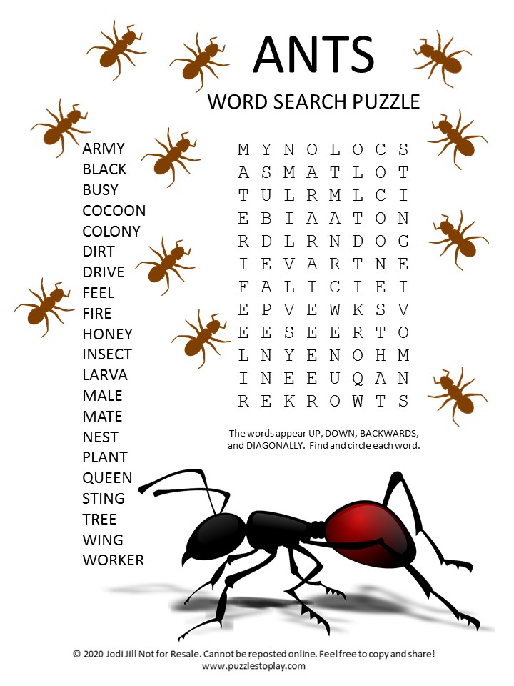 ants word search puzzle