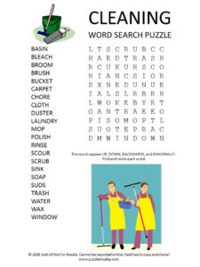 cleaning word search puzzle