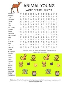 Young Animal Word Search Puzzle