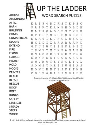 Ladder Word Search Puzzle Puzzles to Play