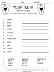 Your Teeth word scramble for kids