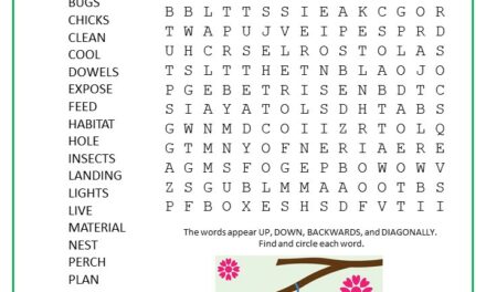 Birdhouse Word Search Puzzle