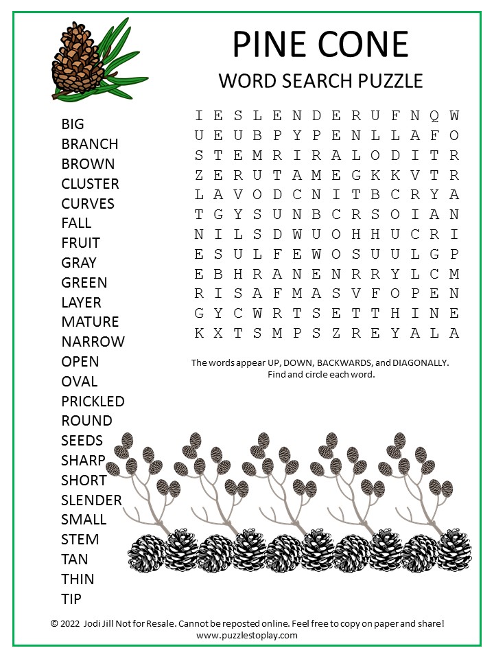 Pine Cone Word Search Puzzle